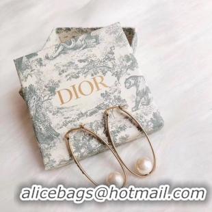 New Style Dior Earrings CE4900