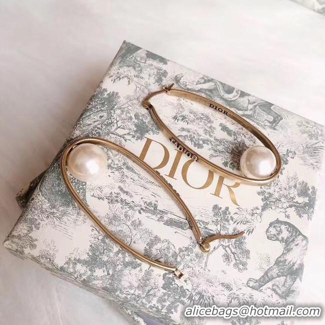 New Style Dior Earrings CE4900