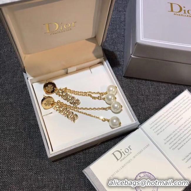 Good Looking Dior Earrings CE4909