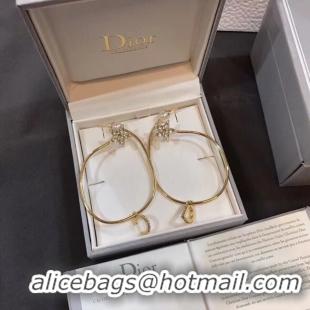 Low Price Dior Earrings CE5012