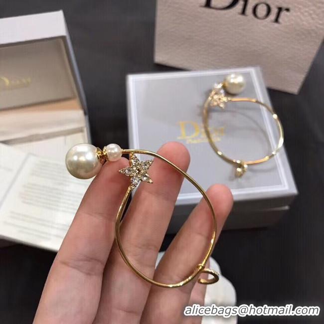 Low Price Dior Earrings CE5012