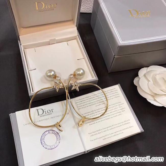 Low Price Dior Earrings CE5012