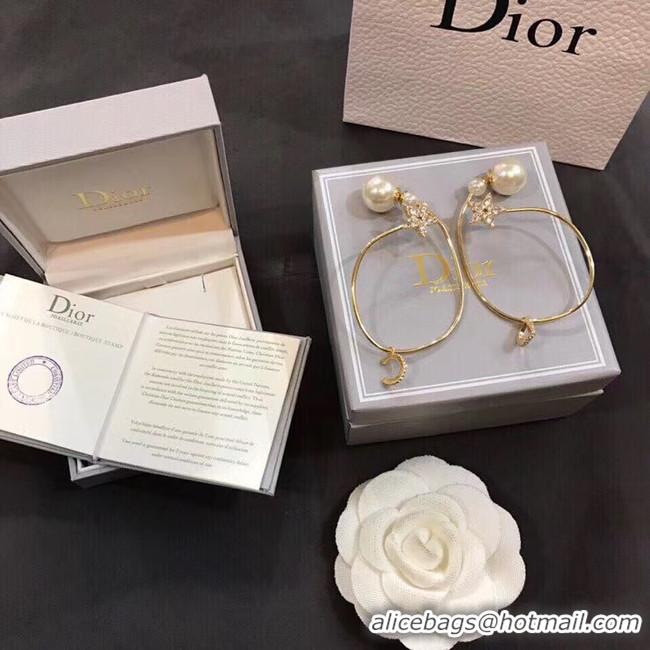 Low Price Dior Earrings CE5012