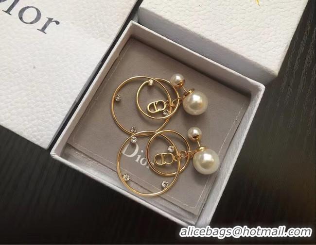 Low Price Dior Earrings CE5013