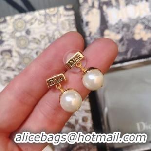 Best Price Dior Earrings CE5018