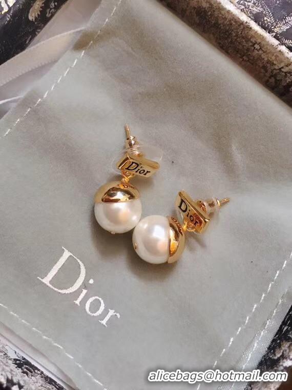 Best Price Dior Earrings CE5018