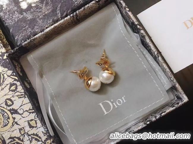 Best Price Dior Earrings CE5018