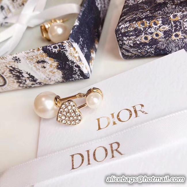 Duplicate Dior Earrings CE5022