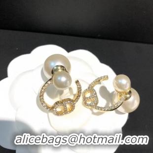 AAAAA Dior Earrings CE5025