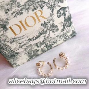 AAAAA Dior Earrings CE5026