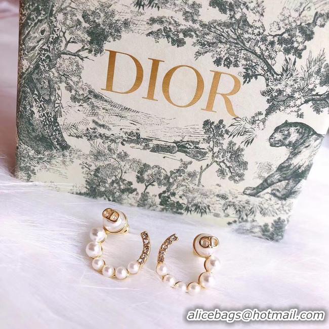 AAAAA Dior Earrings CE5026