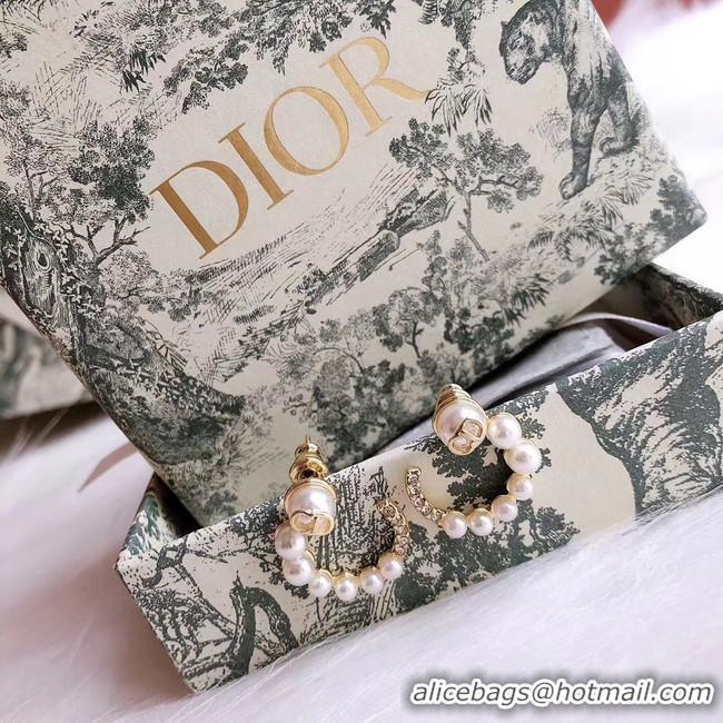 AAAAA Dior Earrings CE5026