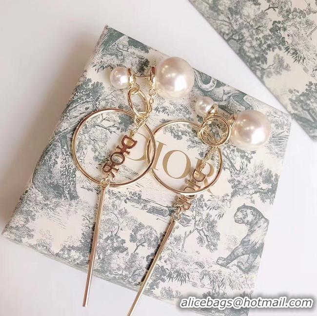 Good Product Dior Earrings CE5027