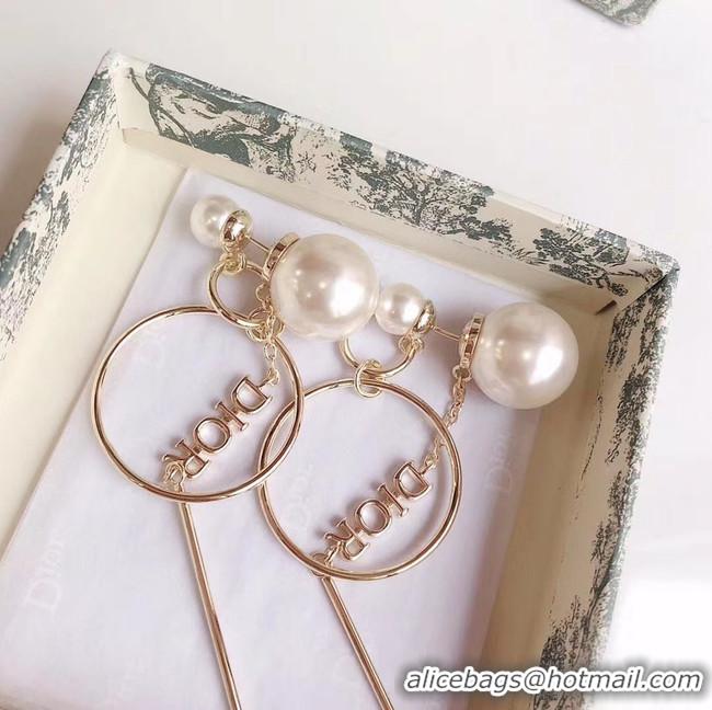 Good Product Dior Earrings CE5027