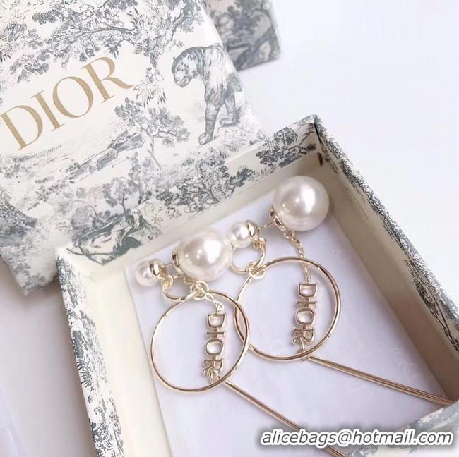 Good Product Dior Earrings CE5027