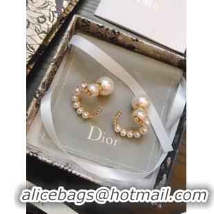 Low Price Dior Earrings CE5070