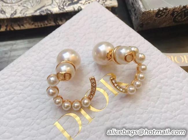 Low Price Dior Earrings CE5070