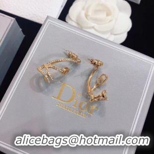 Well Crafted Dior Earrings CE5133