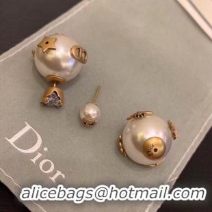 Perfect Dior Earrings CE5134