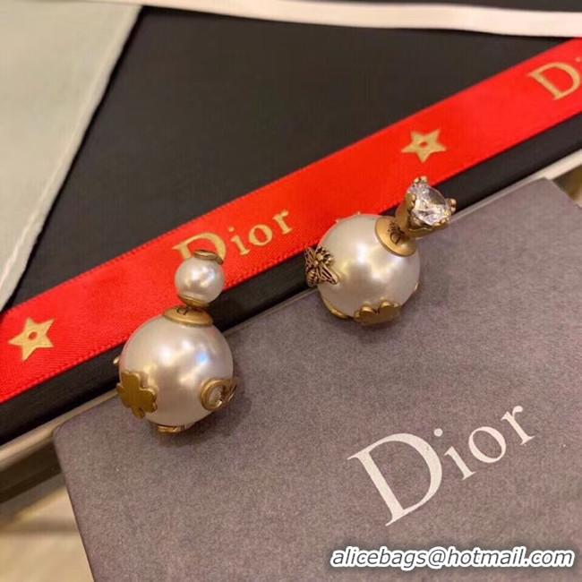 Perfect Dior Earrings CE5134