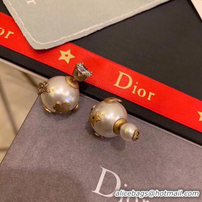 Perfect Dior Earrings CE5134