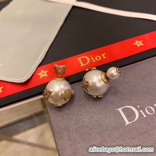 Perfect Dior Earrings CE5134