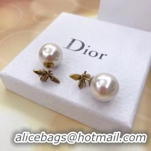 Best Luxury Dior Earrings CE5136