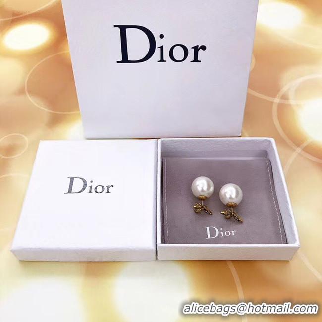 Best Luxury Dior Earrings CE5136