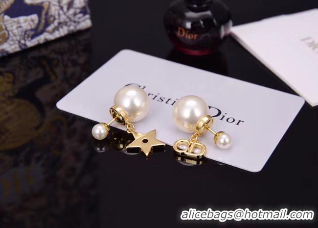 Stylish Dior Earrings CE5153