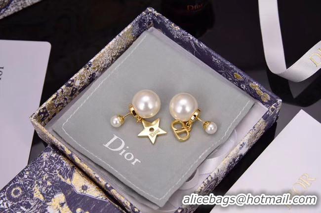 Stylish Dior Earrings CE5153