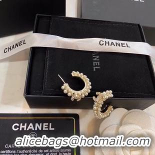 Luxury Chanel Earrings CE4768