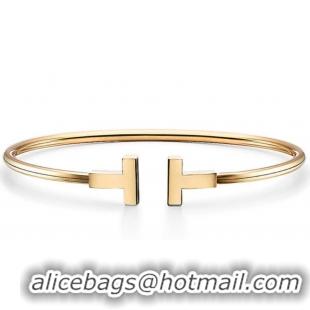 High Quality TIFFANY Jewelry TF6929 Gold