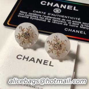 Popular Style Chanel Earrings CE4875