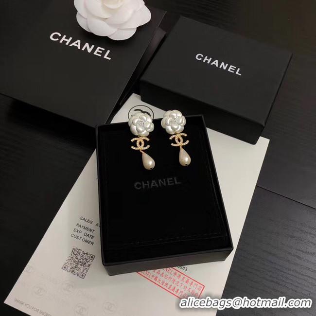 Classic Specials Chanel Earrings CE4994