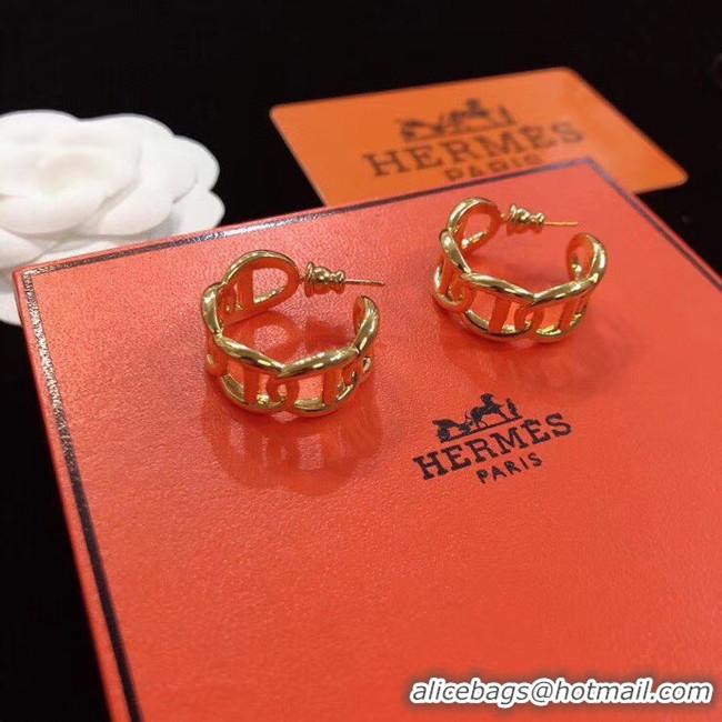 Stylish Hermes Earrings CE5220