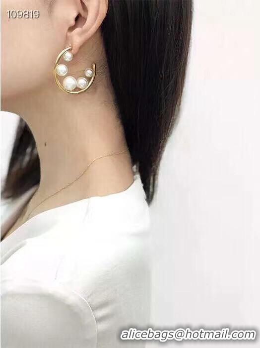 Luxury Classic Celine Earrings CE5036