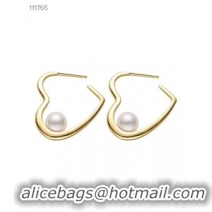 Practical Celine Earrings CE5046