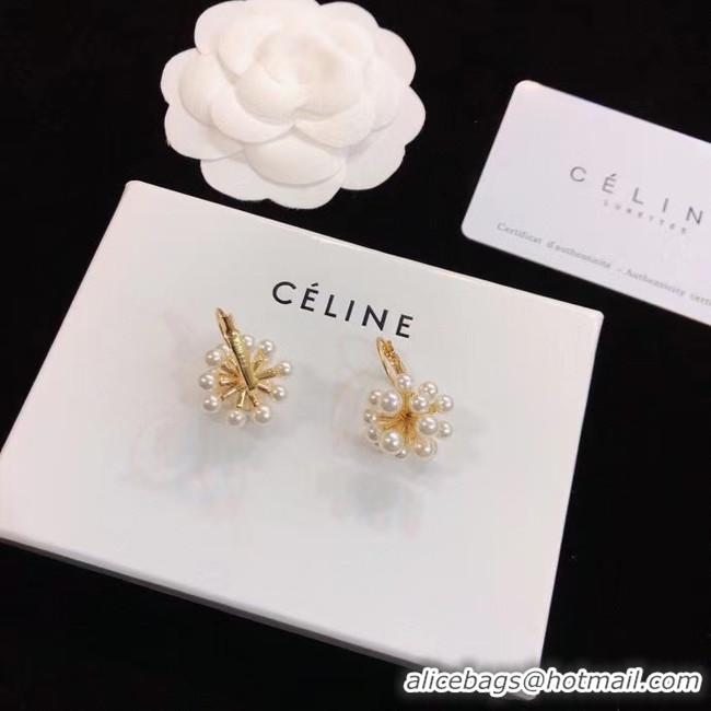 Shop Duplicate CELINE Earrings CE5219