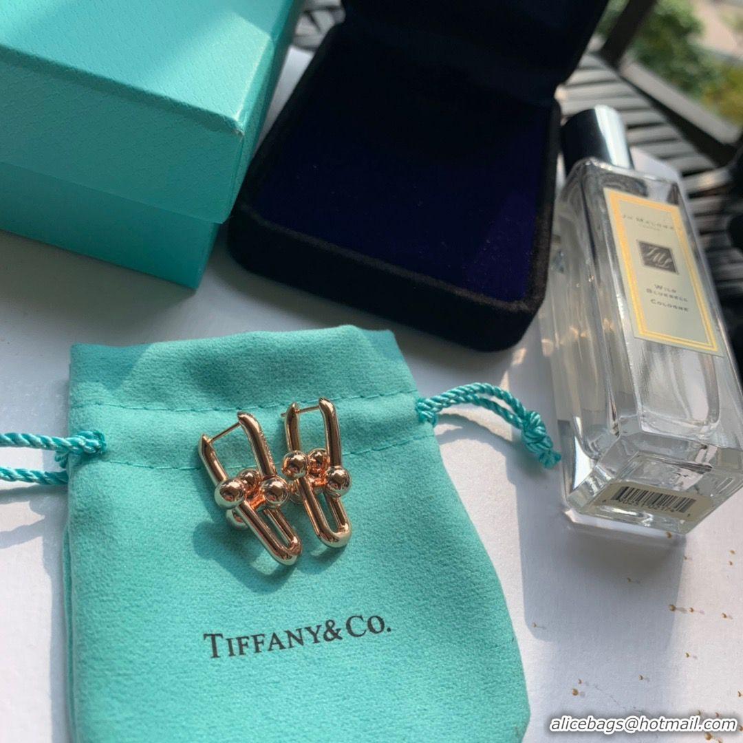 Best Design TIFFANY Earrings TE4916