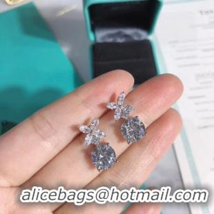 Top Quality TIFFANY Earrings CE5035