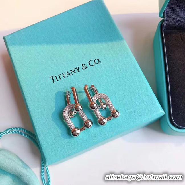 Perfect TIFFANY Earrings CE5060