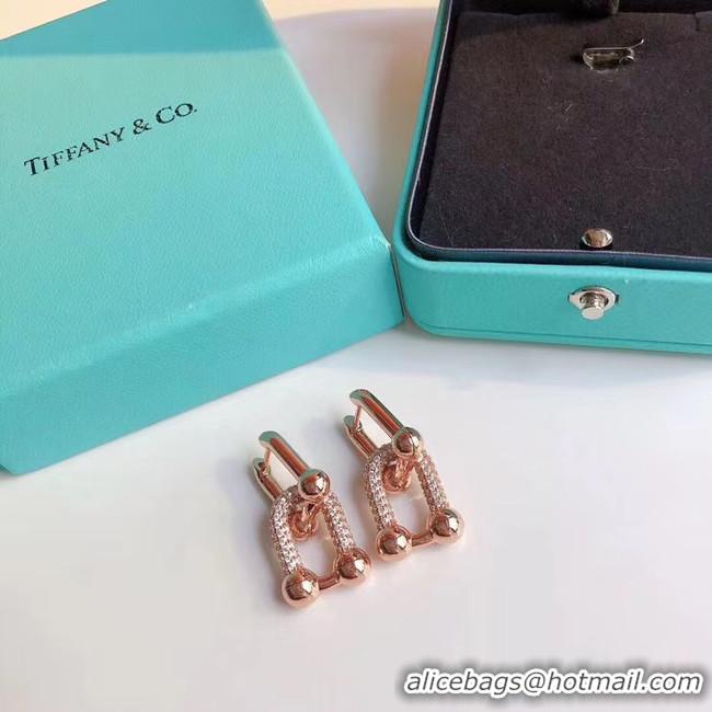 Perfect TIFFANY Earrings CE5060