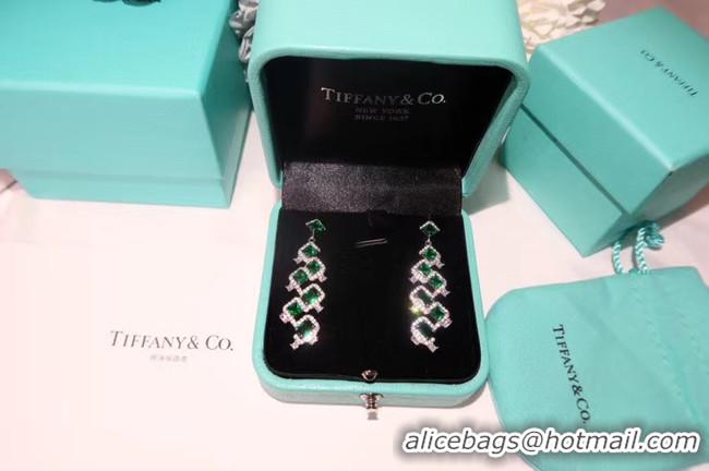 Luxury TIFFANY Earrings CE5083