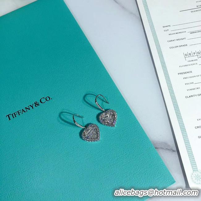 Luxury TIFFANY Earrings CE5150