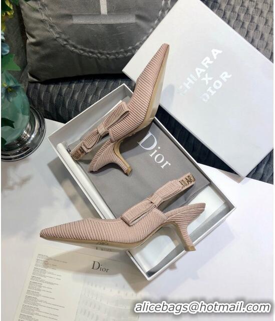 Unique Style Dior J'Adior x Chiara Pumps 65mm D72125 Pink 2020