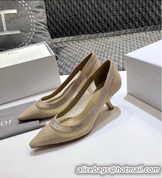 Chic Reproduction Dior J'Adior Crystal Pumps 65MM D72131 Nude 2020