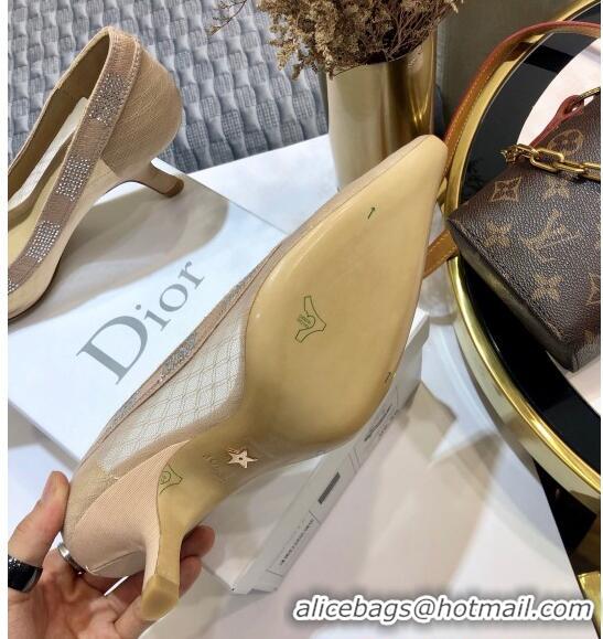 Chic Reproduction Dior J'Adior Crystal Pumps 65MM D72131 Nude 2020