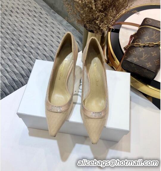 Chic Reproduction Dior J'Adior Crystal Pumps 65MM D72131 Nude 2020