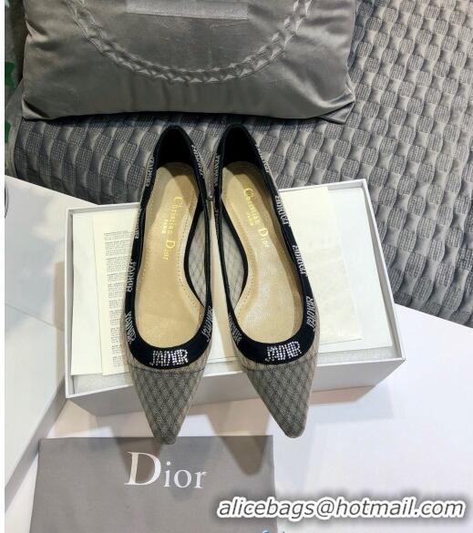 Popular Style Dior J'Adior Crystal Flat Slingback Ballerinas D72135 Grey 2020