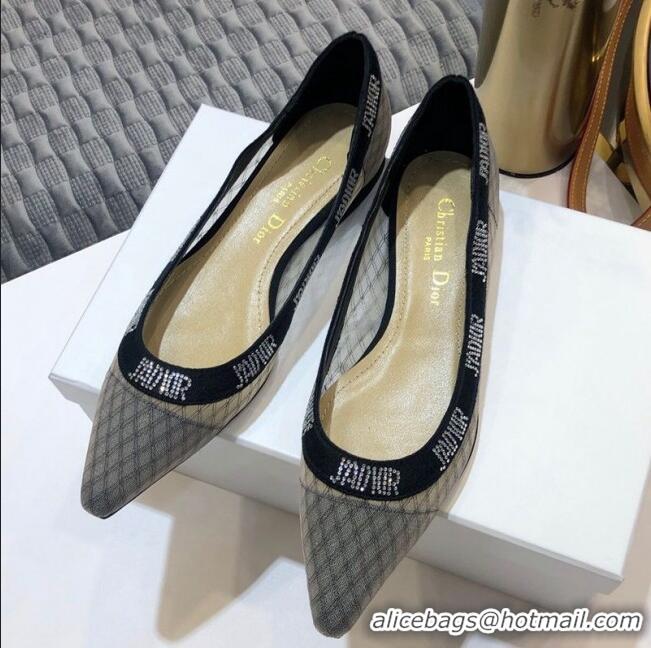 Popular Style Dior J'Adior Crystal Flat Slingback Ballerinas D72135 Grey 2020